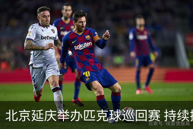 北京延庆举办匹克球巡回赛 持续擦亮户外运动城市名片